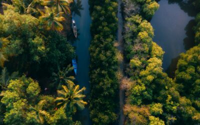 All About Marna, the Quieter Side of Siolim, Goa