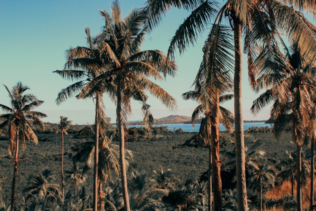 Looking from Siolim across the river to Chapora
